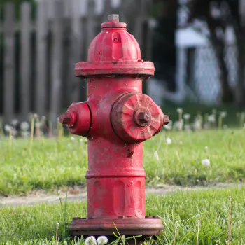 A red fire hydrant stands on green grass, surrounded by dandelions and set against a blurred background of a fence.