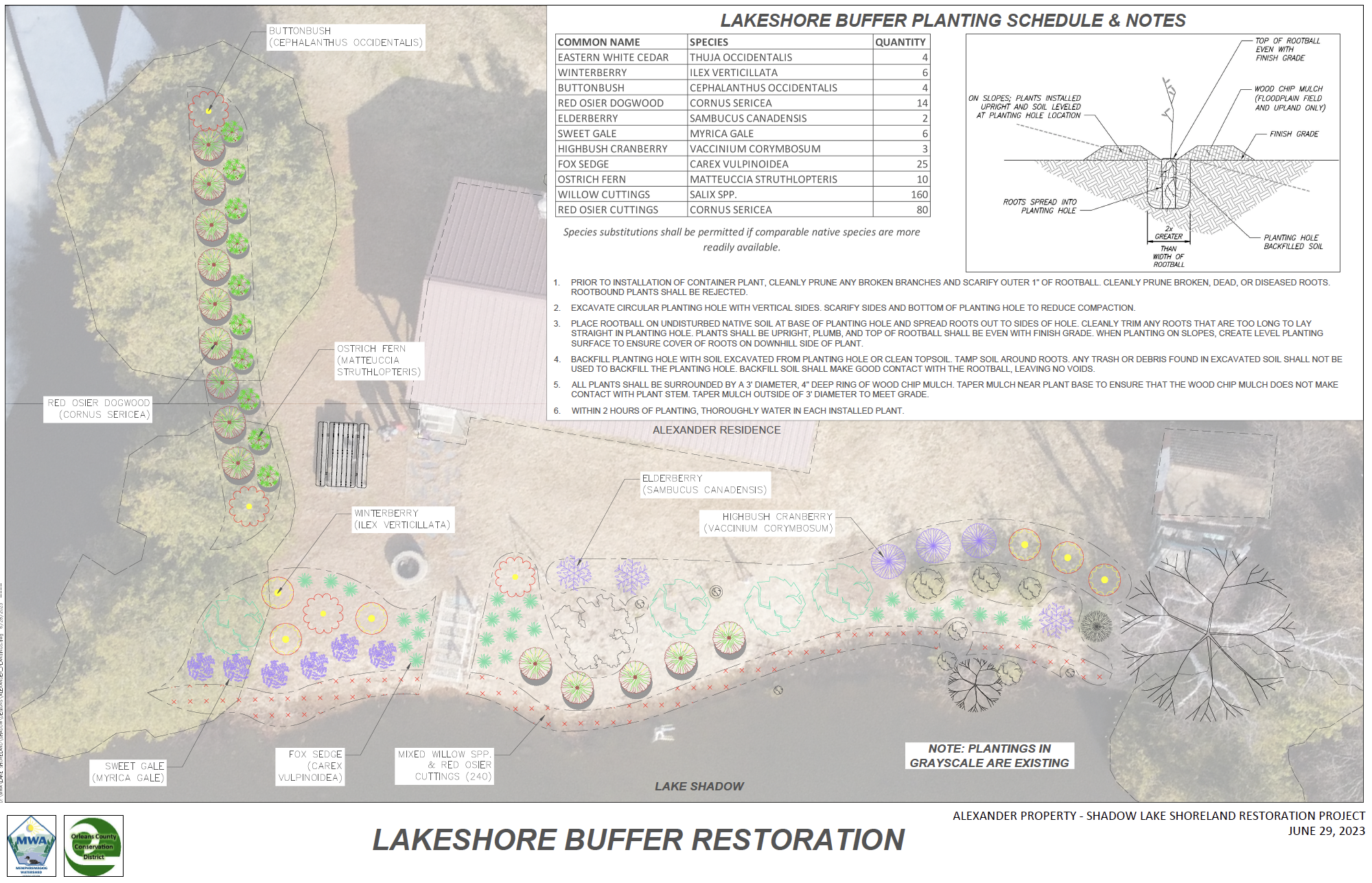 Lakeshore buffer restoration plan with plant schedule, notes, and layout for Alexander property, dated June 29, 2023.