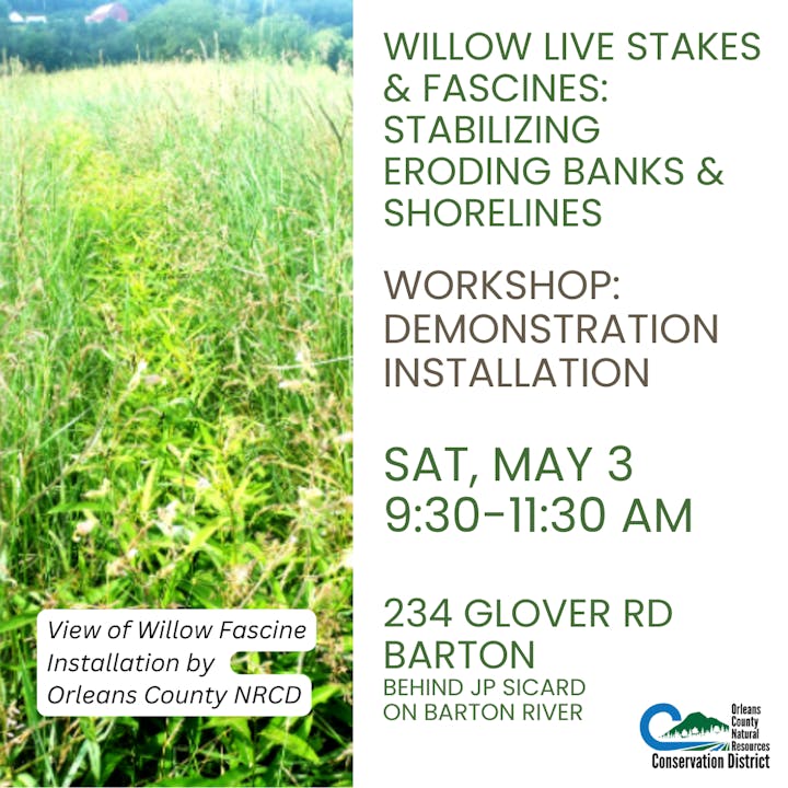Announcement for willow staking workshop