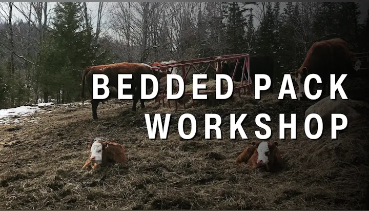 The image features a workshop on bedding pack techniques for cattle, with cows in a pasture setting.