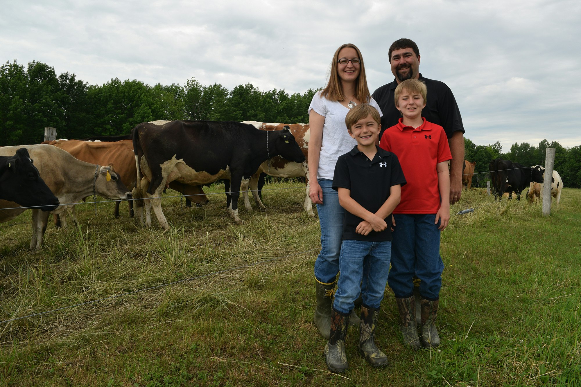 A family of four smiling with cows in a field.