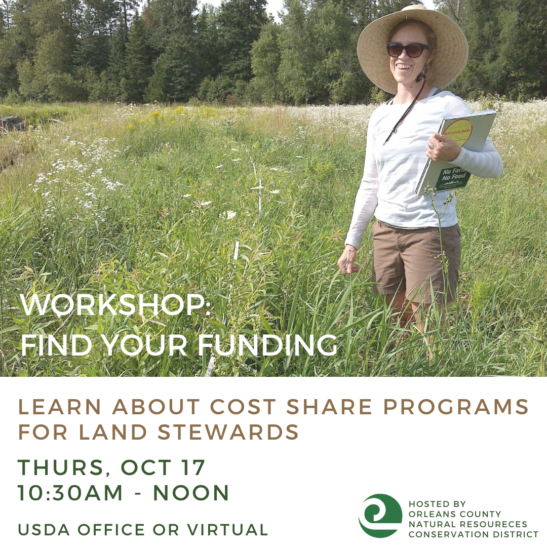 Flyer for funding workshop showing Sarah in a field