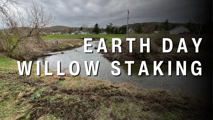 The image promotes Earth Day activities focused on willow staking along a stream, showcasing nature and environmental care.