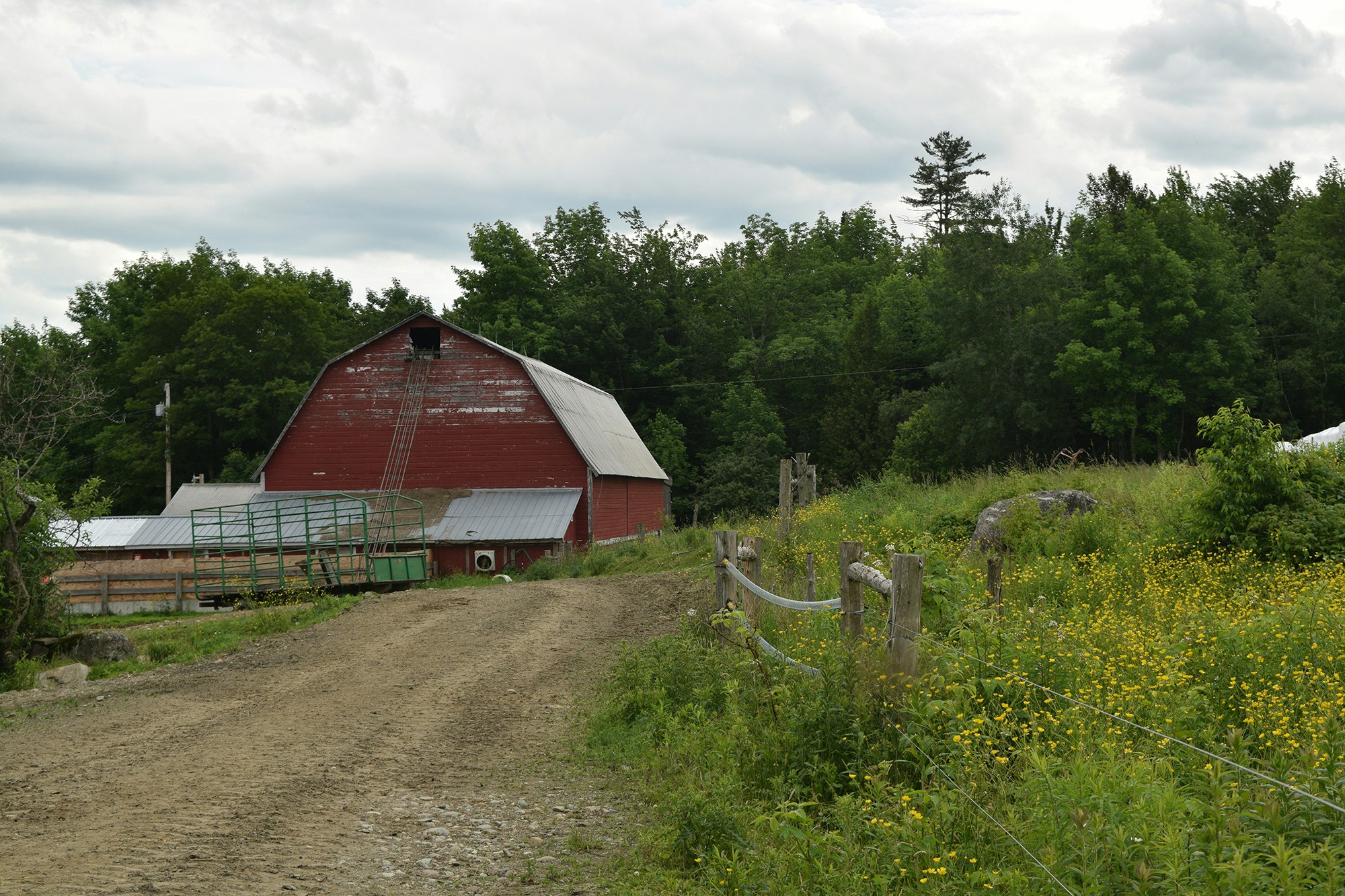 A red barn with a green roof, surrounded by nature, a dirt road in the front, and a cloudy sky above.
