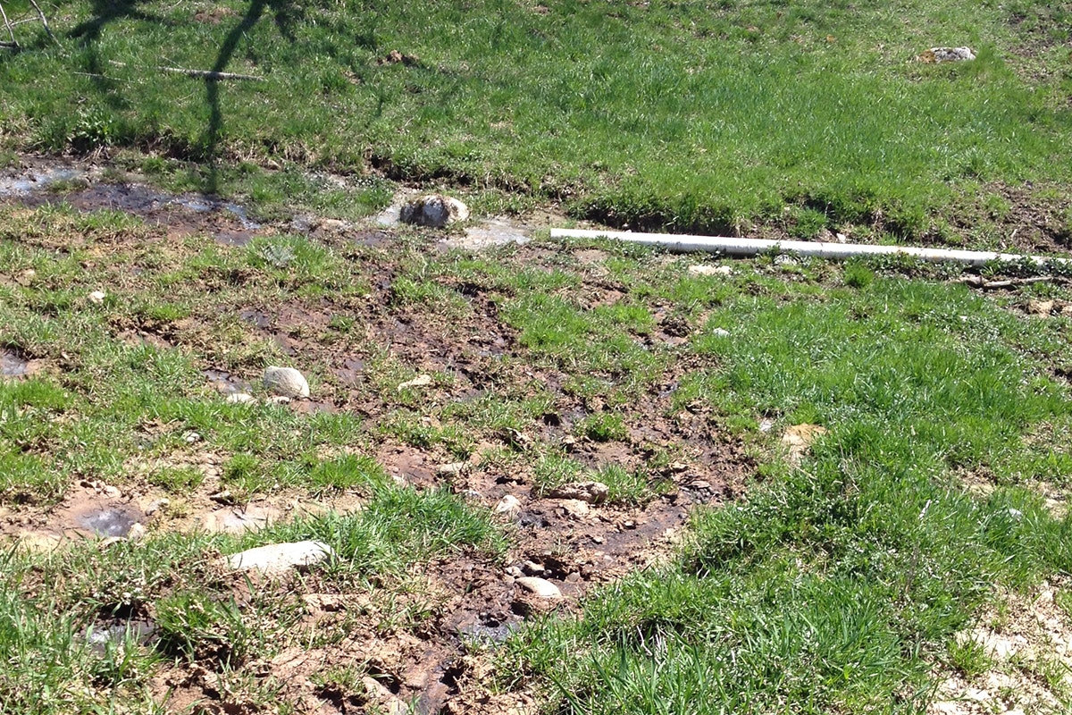 Muddy ground with patches of grass and a white pipe.