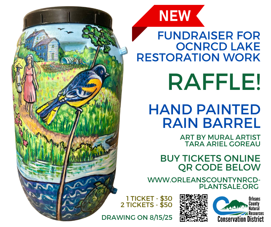 Raffle for a hand-painted rain barrel fundraiser by OCNRCD, art by Tara Ariel Goreau. Tickets $30-$50. Drawing on 8/15/25.
