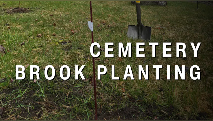 May contain: grass, plant, device, shovel, and tool