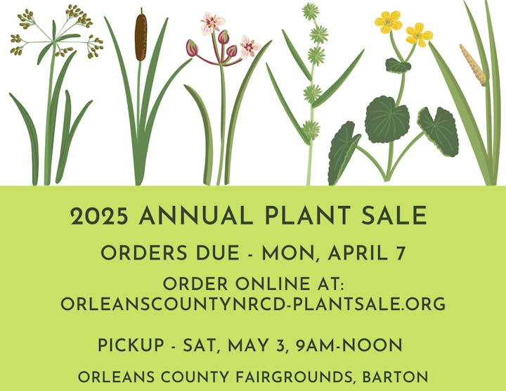 2025 Annual Plant Sale. Orders due April 7, pickup May 3, 9AM-noon at Orleans County Fairgrounds, Barton. Order online.