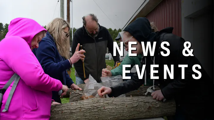 A group of people engaged in an outdoor activity, working with a log and tools, alongside a "News & Events" header.