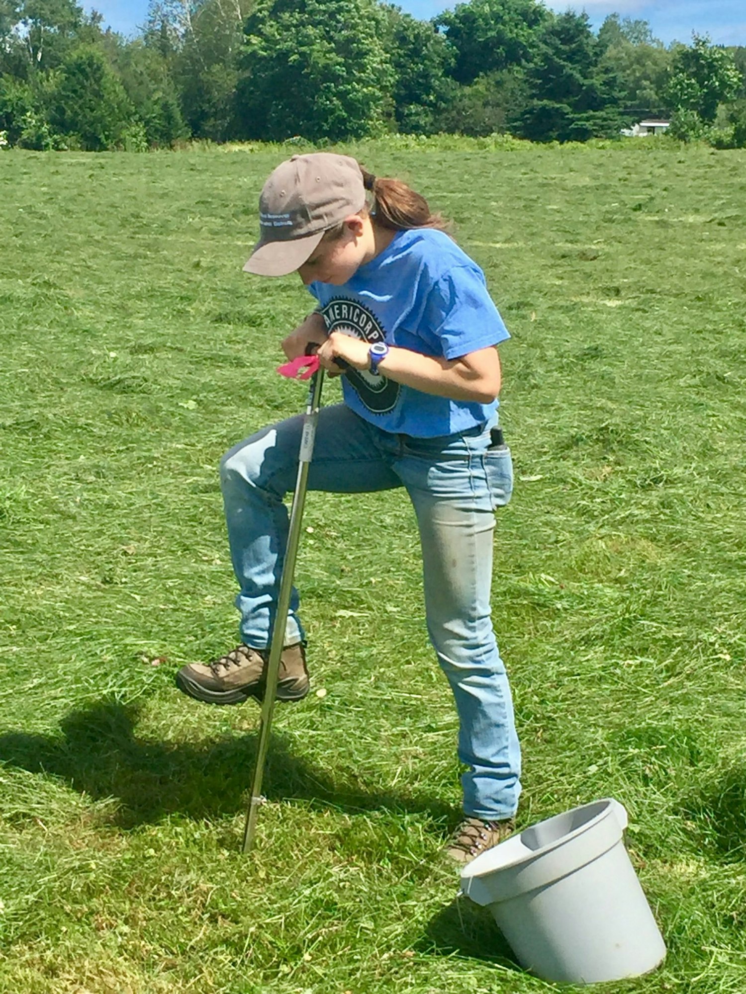 A person using a soil sampler in a grassy field with a bucket nearby.