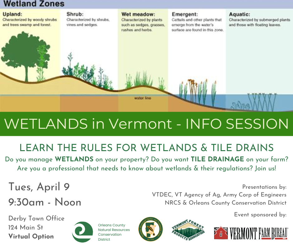 A flyer for a Wetlands information session in Vermont discussing wetland rules and tile drainage, with various organizations involved.