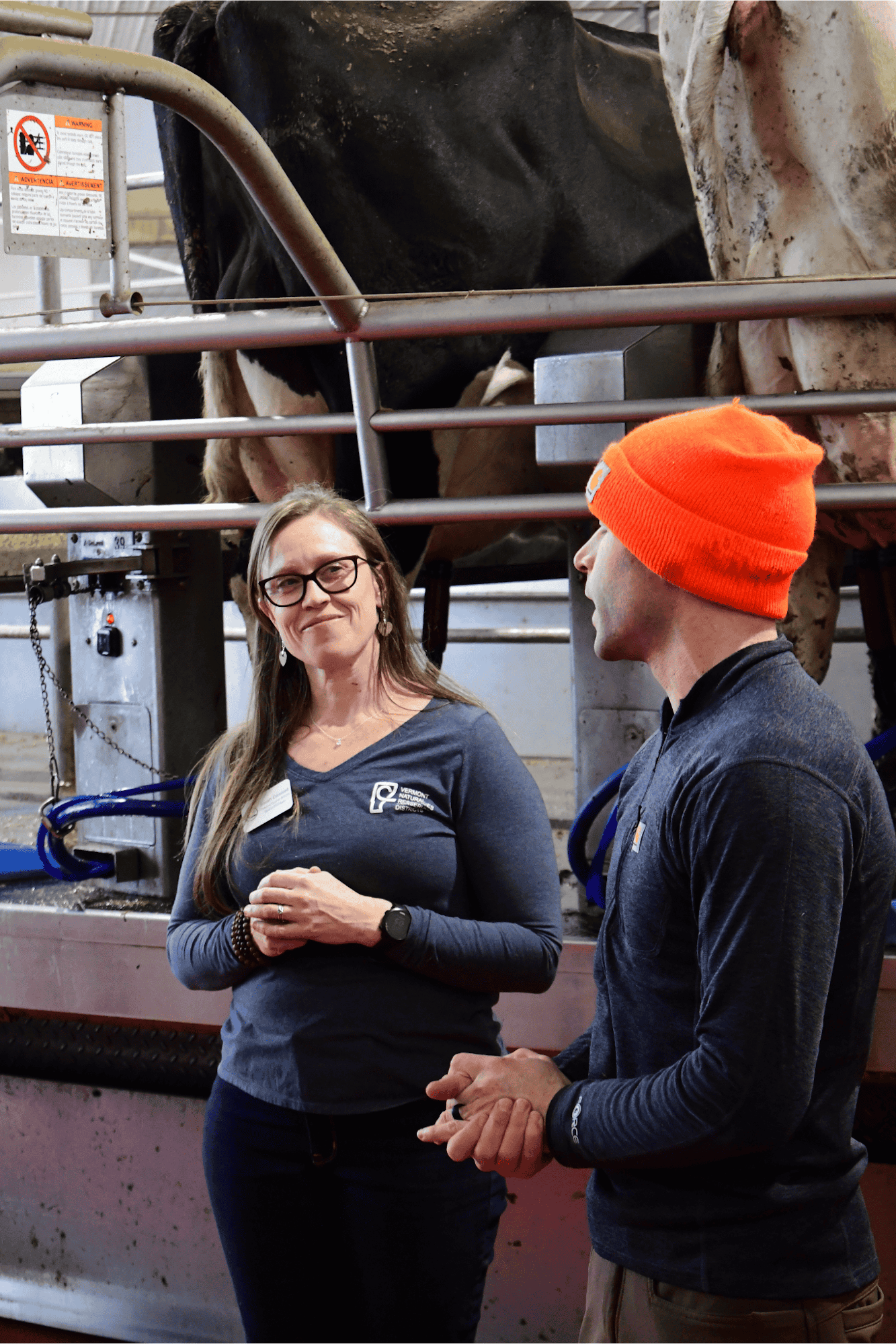 Two people are discussing something in a dairy farm setting, with cows visible in the background.