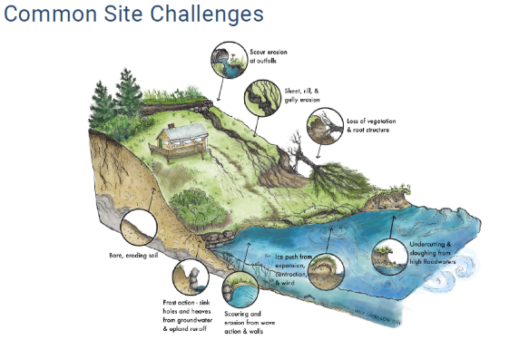 Illustration of coastal erosion challenges, including soil loss, undercutting, scouring, vegetation loss, and groundwater issues.