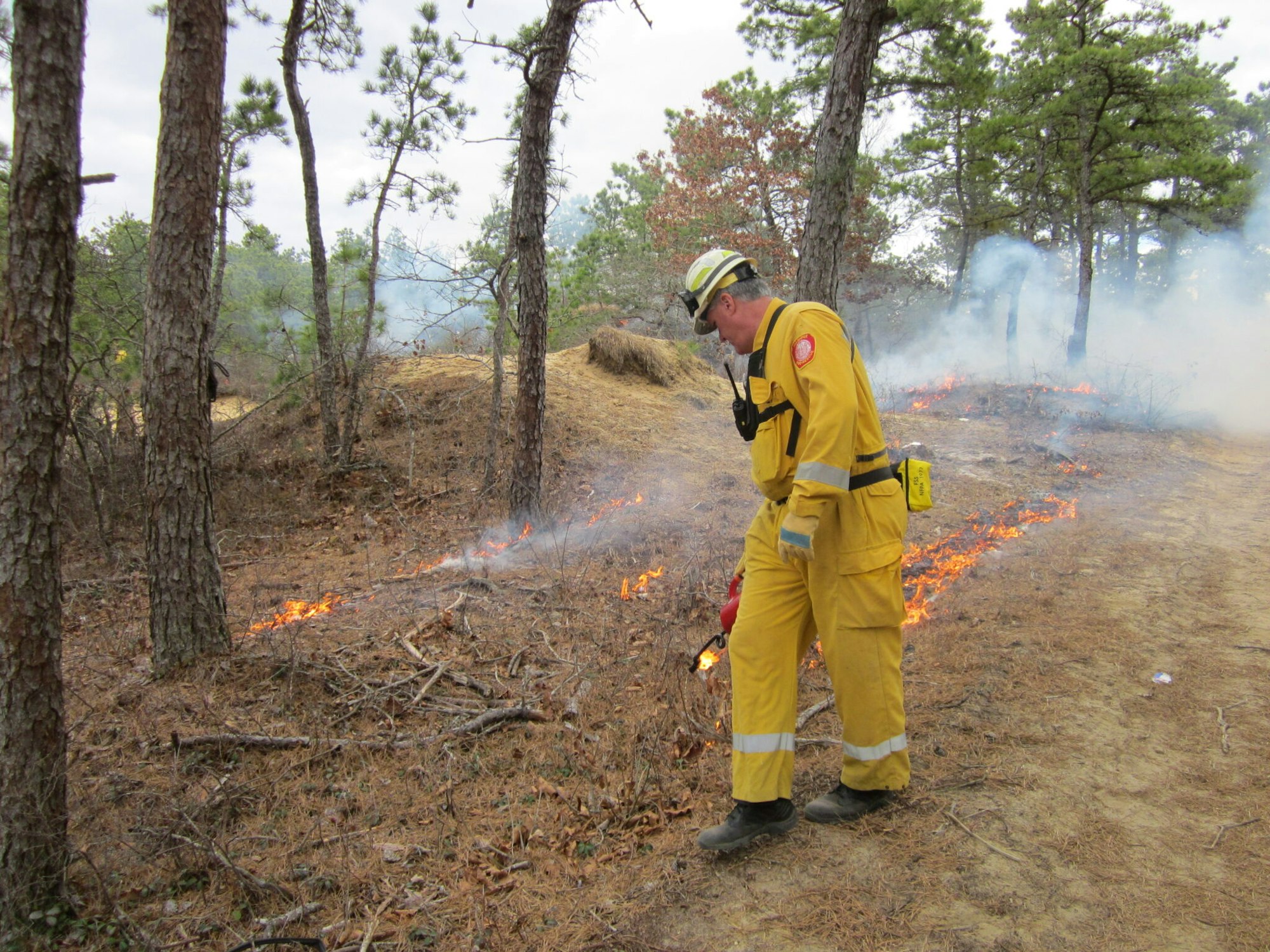 Firefighter in yellow gear conducting a controlled burn in a forest area.