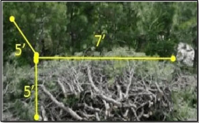The image shows a geometric representation of a right triangle with measurements of 5 feet and 7 feet, near a pile of branches.