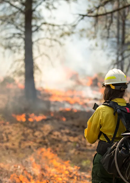 A firefighter observes a forest fire, wearing safety gear, with flames and smoke in the background.