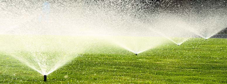 Sprinklers watering green grass.
