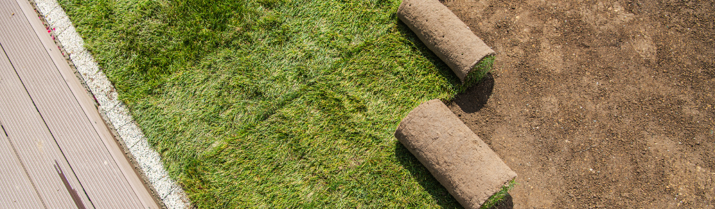 Rolls of sod being laid on a lawn, next to a wooden deck.