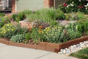 A landscaped garden with various colorful flowers, greenery, and a wooden border beside a driveway.