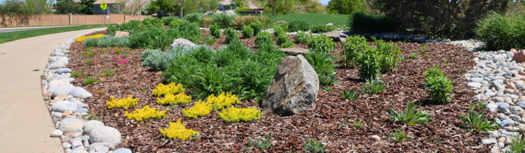A landscaped garden with rocks, mulch, and various plants alongside a pathway.
