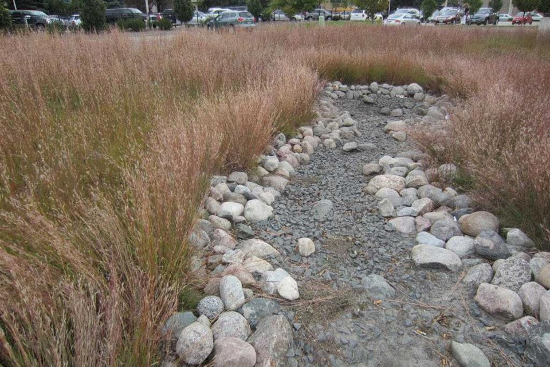 Rocky dry creek bed surrounded by tall grass, with cars and trees in the background.