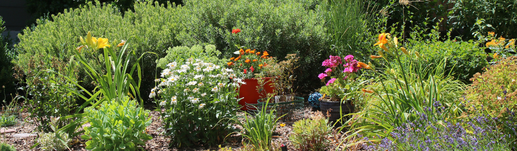 A colorful garden with various flowers, including lilies, daisies, and marigolds, surrounded by lush green foliage and shrubs.