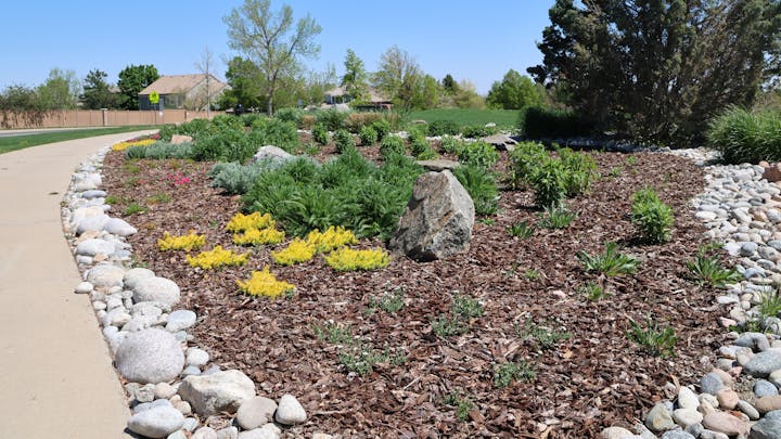 A landscaped area with diverse plants, mulch, rocks, and a path, set against a clear blue sky.