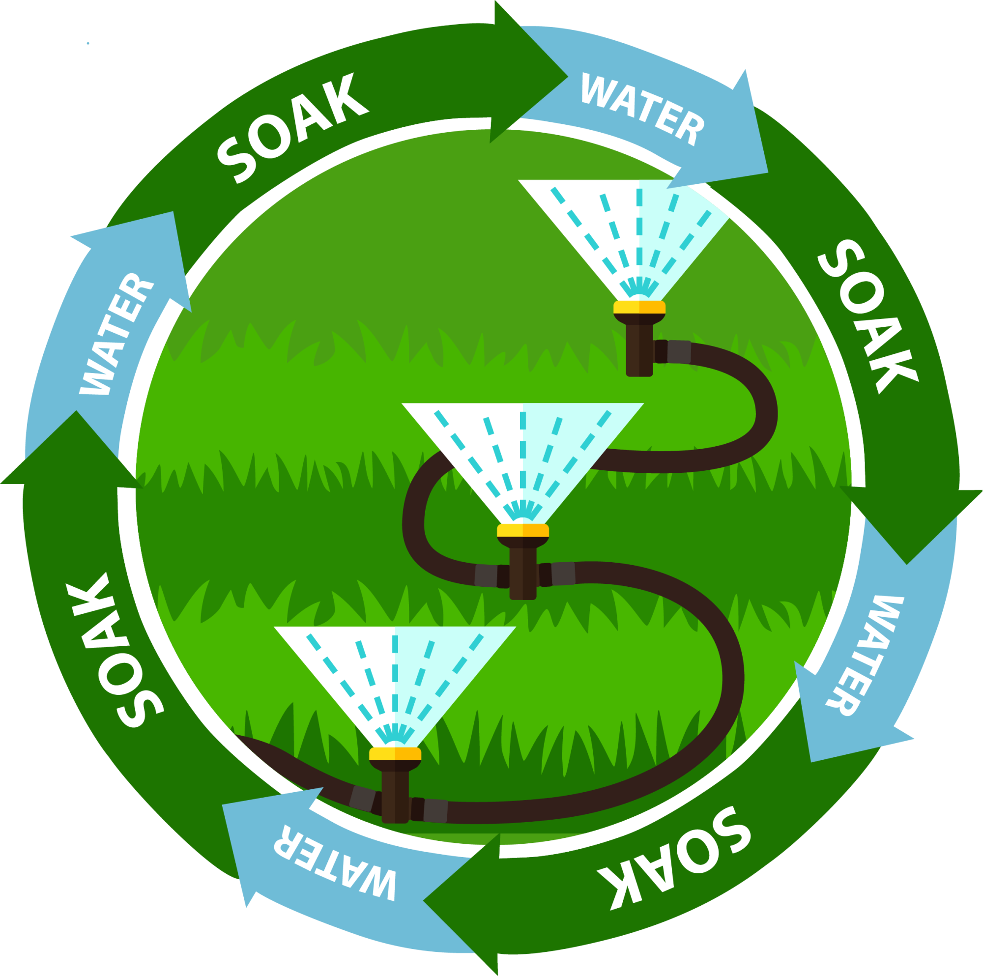 An illustration of a water cycle for lawns, showing sprinklers and a soak-water-wait-repeat process.