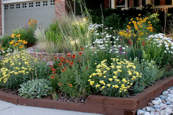 A vibrant garden with colorful flowers and plants in a raised wooden bed near a garage.
