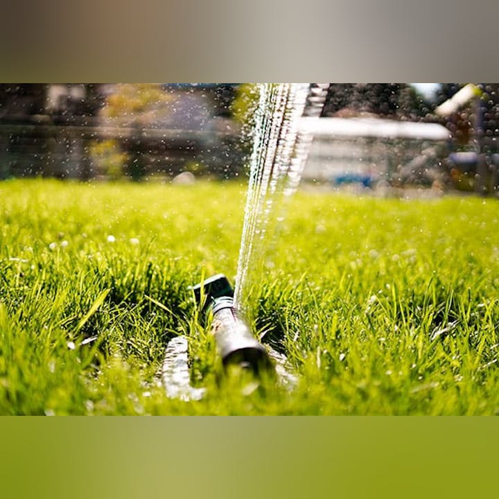 A sprinkler watering green grass with visible water jets suspended mid-air, bathed in sunlight.