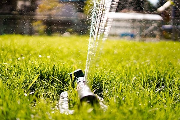 A sprinkler watering green grass with visible water jets suspended mid-air, bathed in sunlight.