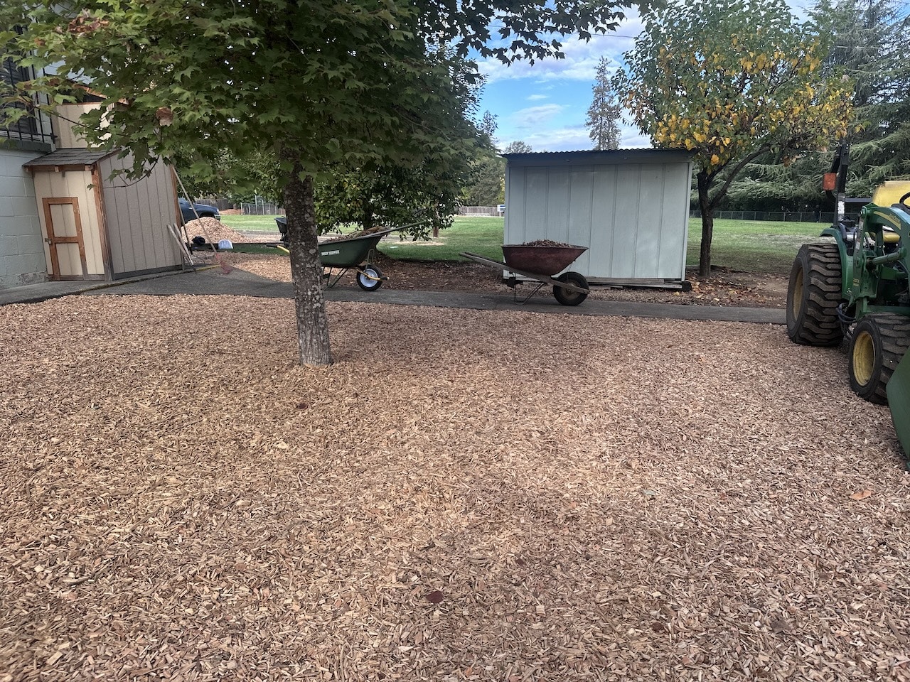 A tree, wheelbarrow, shed, part of a tractor, and a mulched area.