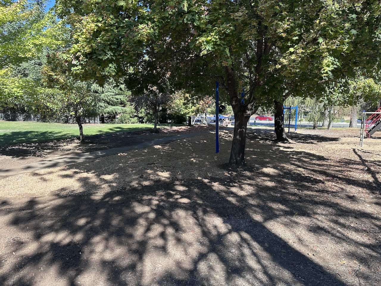 A sunny park with trees, shadows, a swing set, and cars in the background.