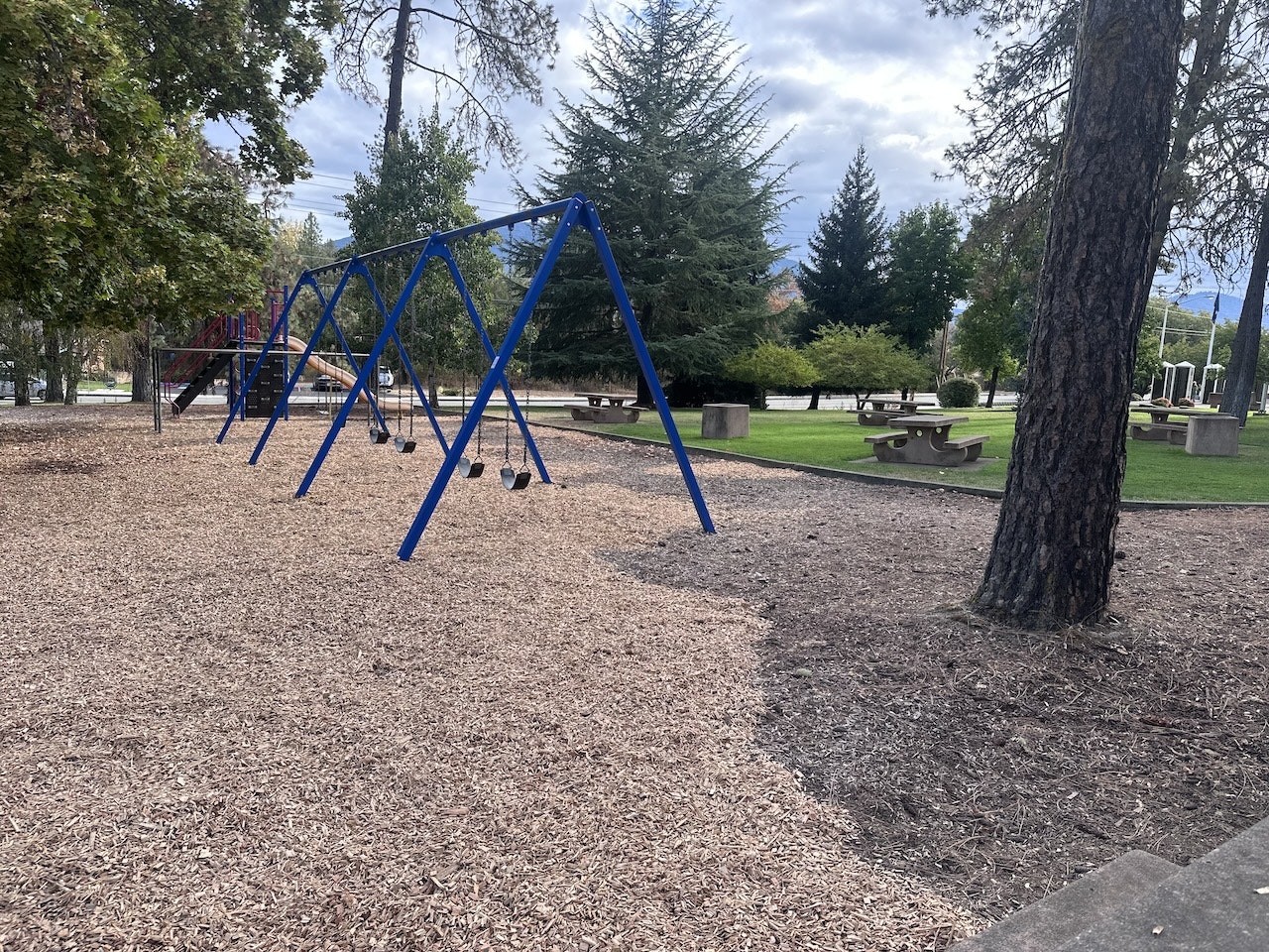 Empty swings at a park with trees and picnic benches.