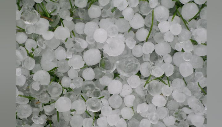 The image shows a close-up of small hailstones scattered over green grass.