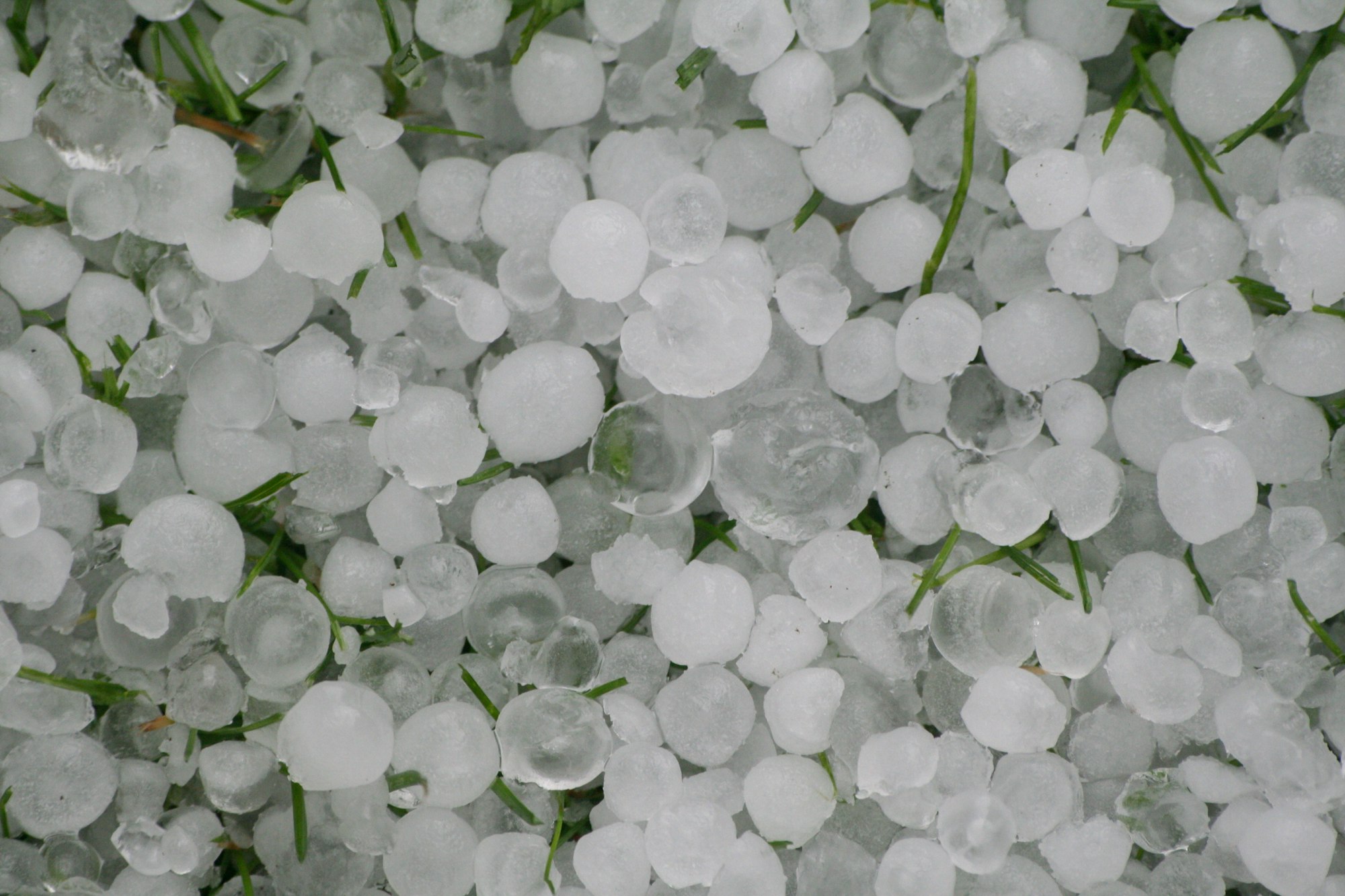 The image shows a close-up of small hailstones scattered over green grass.