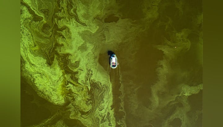 A boat leaving trails on a green swirl-patterned water surface.