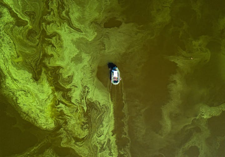 A boat leaving trails on a green swirl-patterned water surface.
