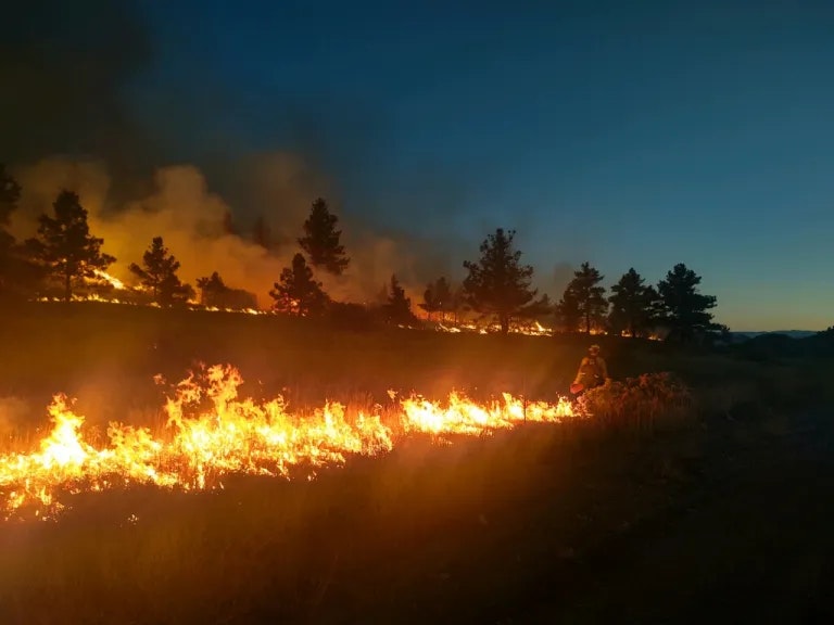 A wildfire at night with a firefighter standing nearby.