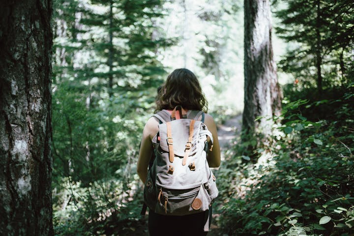 A person with a backpack hiking through a forest.