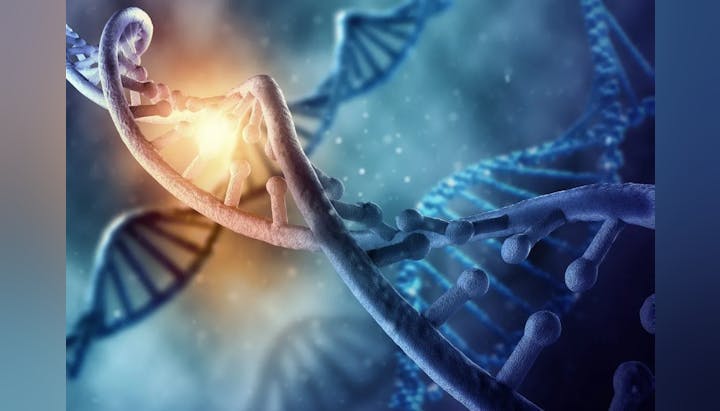 A stylized illustration of DNA molecules with a bright light representing possibly gene editing or mutation.