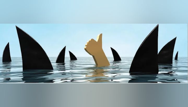 A graphic of shark fins and a thumbs-up sign protruding from water under a blue sky.
