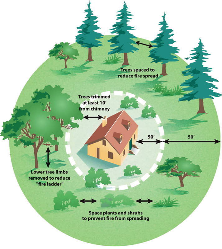 May contain: land, nature, outdoors, tree, plant, and vegetation