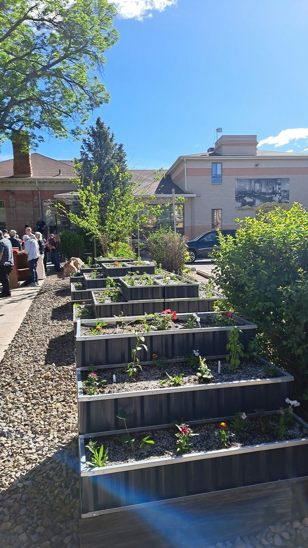 Terraced garden beds with various plants, people gathered nearby, adjacent to a building with a mural under a clear blue sky.