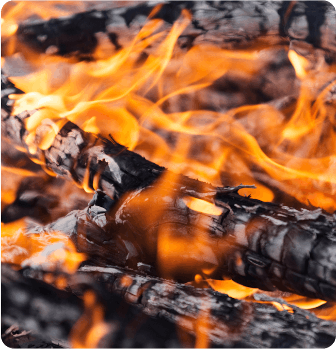 A close-up of burning wood with dancing orange flames.