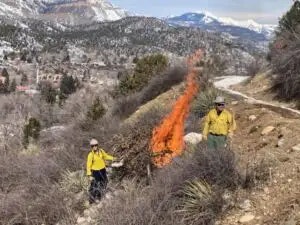 Firefighters manage a controlled burn in a mountainous area.