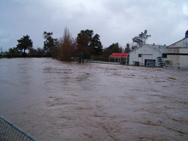Flooded area with brown water, trees, and partially submerged buildings.