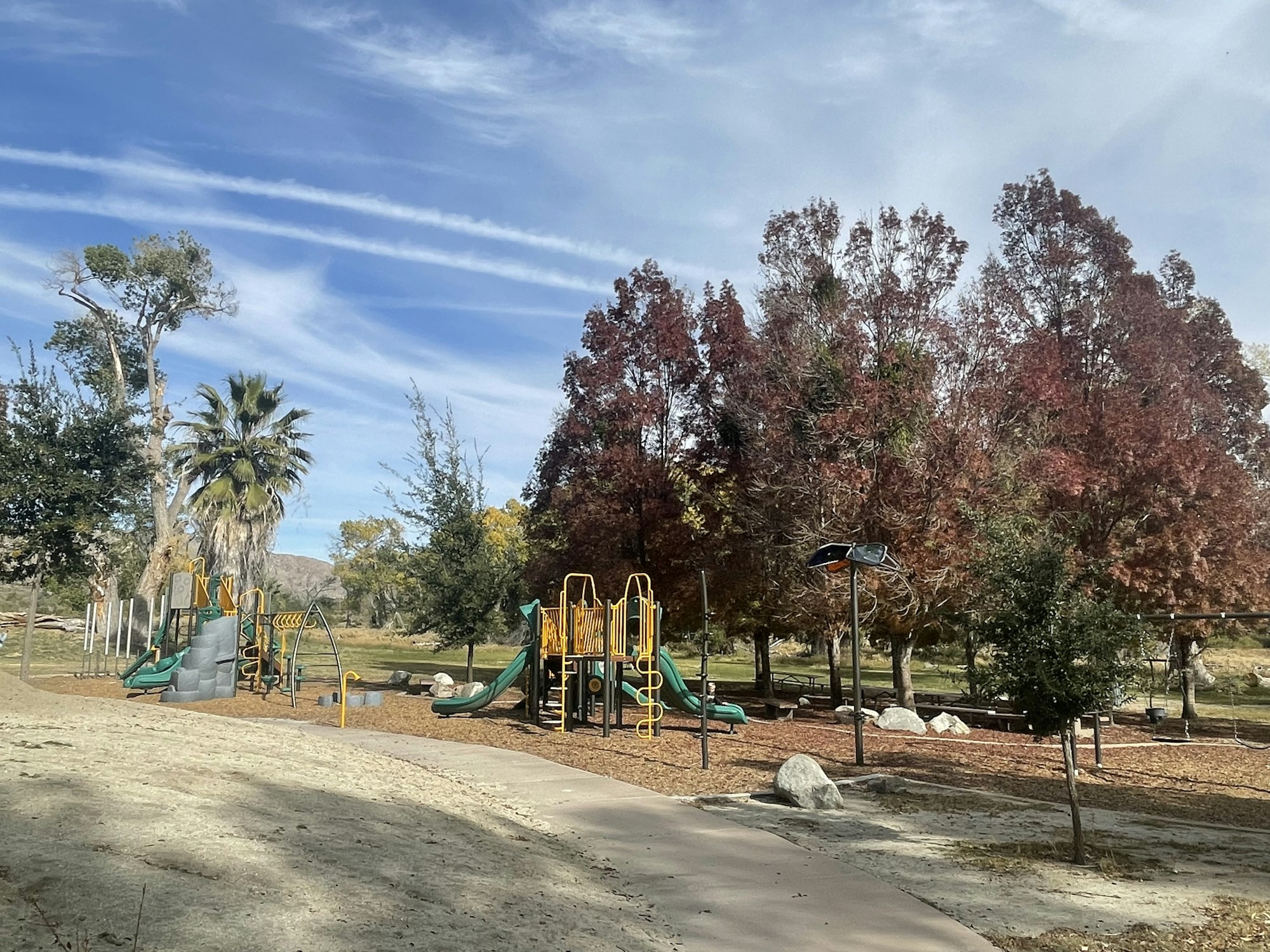 A playground with slides and swings, surrounded by trees under a blue sky.