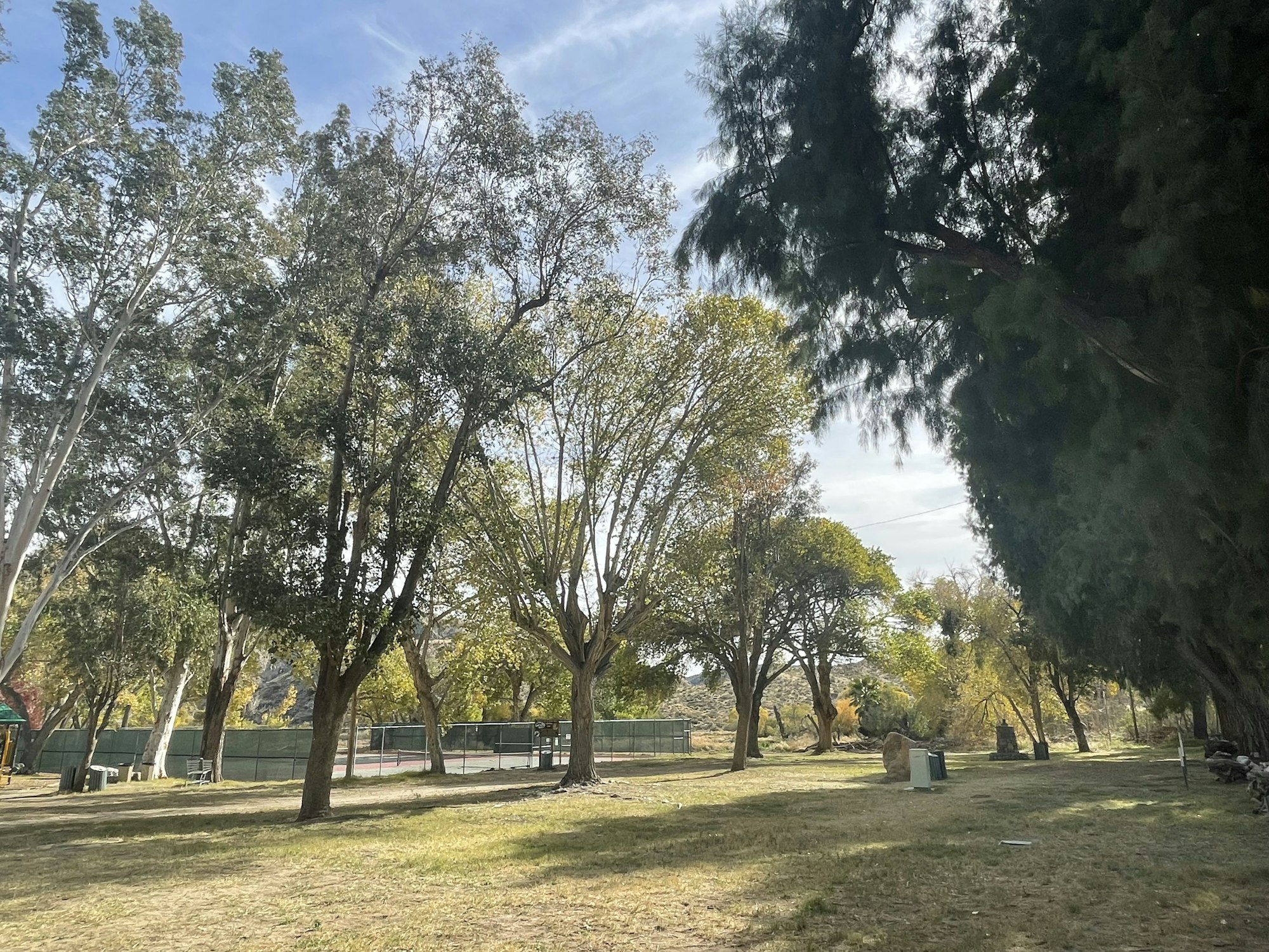 A sunny park with trees, tennis courts in the background, and a clear blue sky.