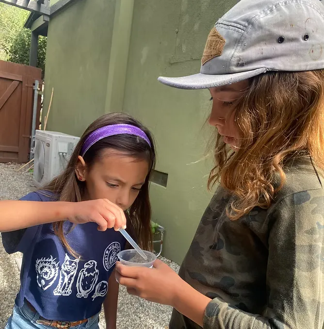 Two kids are outdoors, with one using a straw to examine a cup, while the other watches closely.